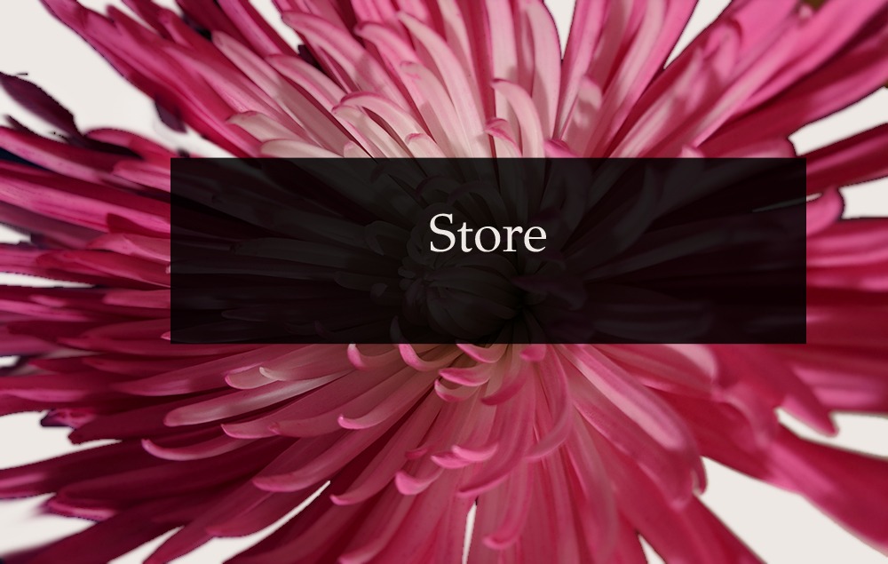 a pink flower with dark rectangle with store written